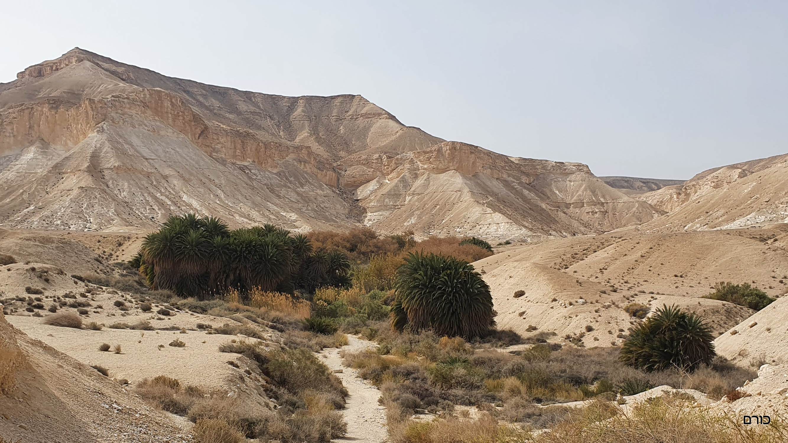 מעין שביב דרך מחפורות הצינים לעין חווה