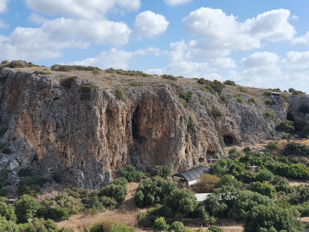 נחל מערות - המסלול הבוטני