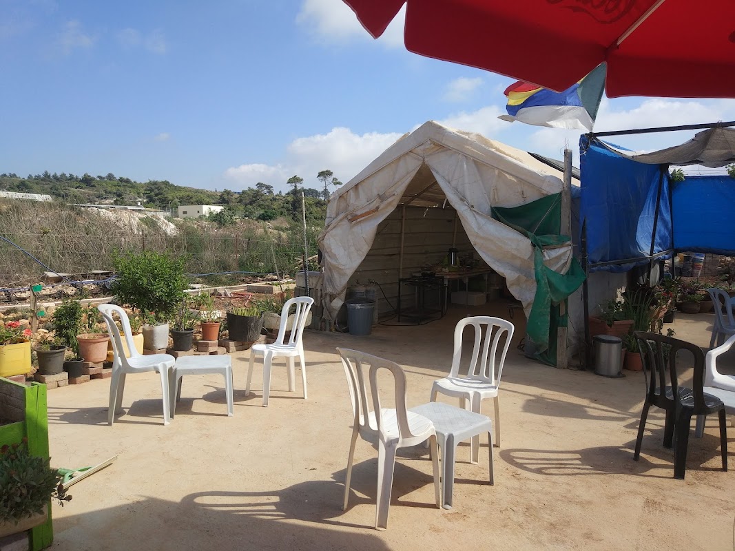 Druze Pita