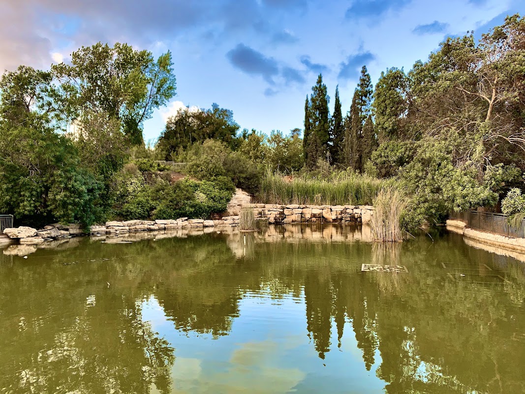 גן הוורדים
