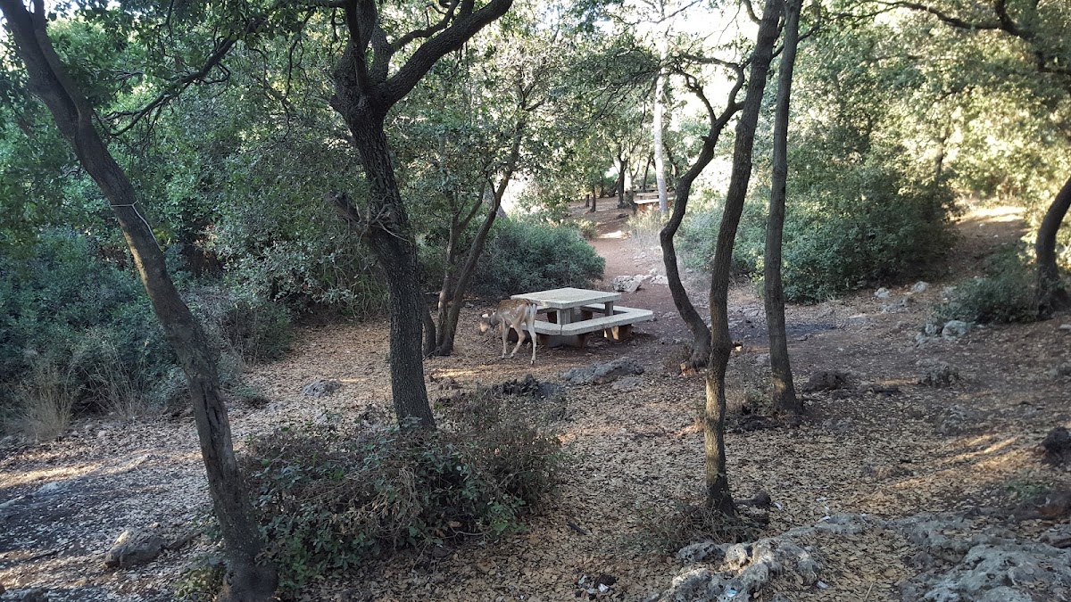 שביל נחל כלח (שוויצריה הקטנה)