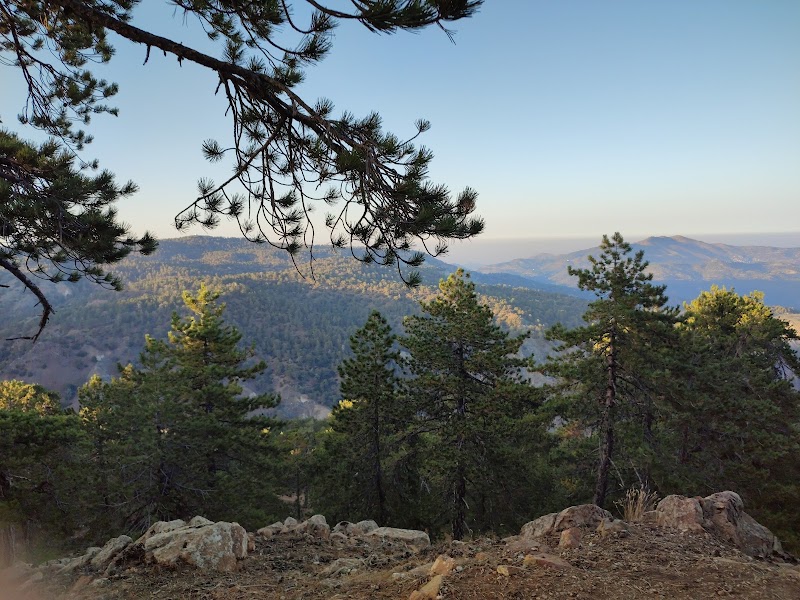 Persephone Trail
