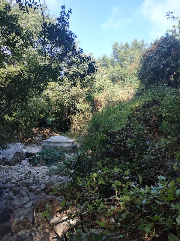 שביל ואדי לוטם
