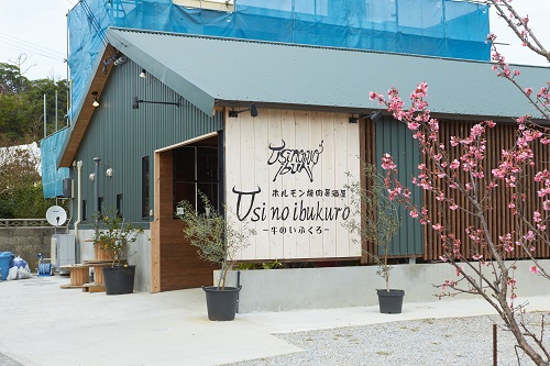 Usi no ibukuro