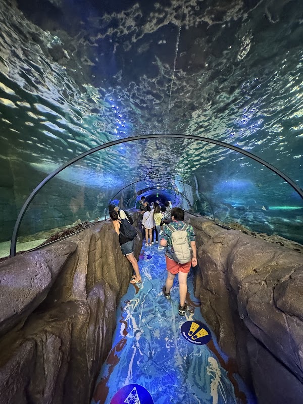 האקווריום של סידני (SEA LIFE)